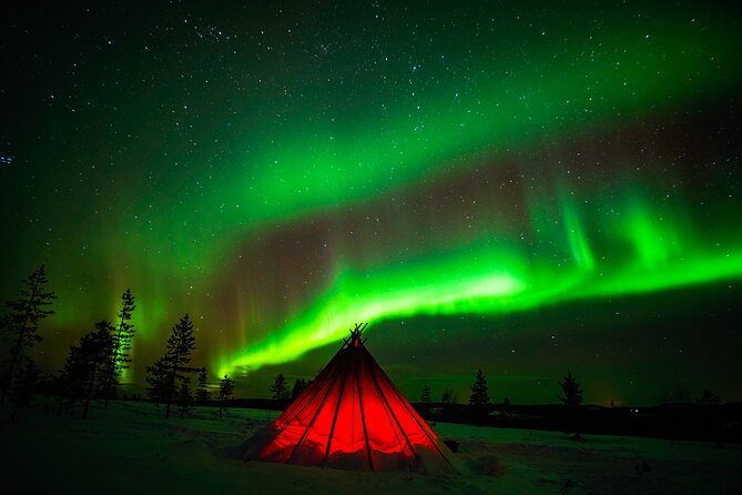 Northern Lights Wilderness Small-Group Tour from Rovaniemi - Northern Lights Reality Check: Low Activity Nights Still Count