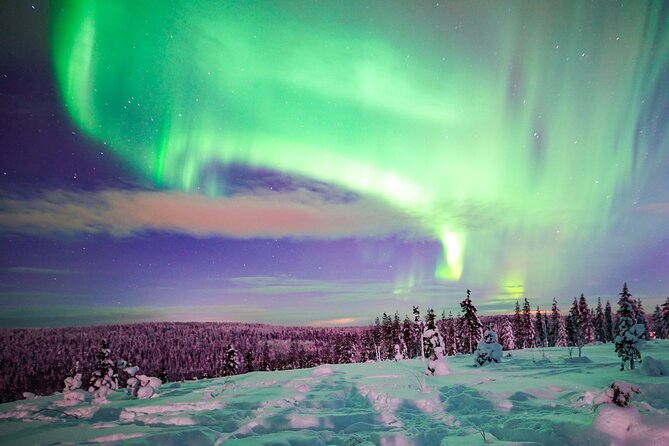 Northern Lights Wilderness Small-Group Tour from Rovaniemi - The Small Group Size That Makes the Night Feel Personal (Max 8)