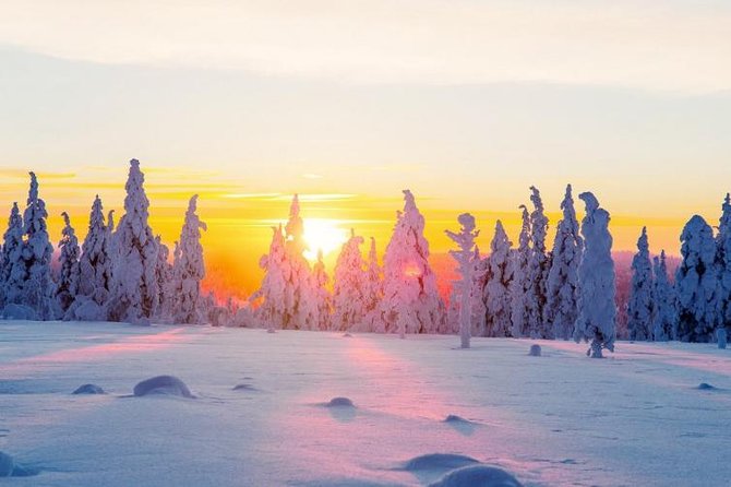 Ounasvaara and Ranua Zoo - Ounasvaara hill walk: the quick climb that pays back with Rovaniemi views