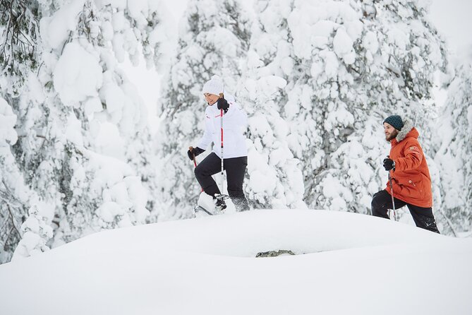 Premium Snowshoeing in Pyhä-Luosto National Park - Key things to know before you go