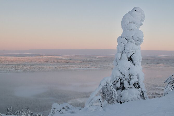 Premium Snowshoeing in Pyhä-Luosto National Park - Snowshoeing in Arctic taiga: how long you’ll walk and how it feels