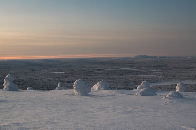 Premium Snowshoeing in Pyhä-Luosto National Park - Guides make or break it, and here you have names to look for