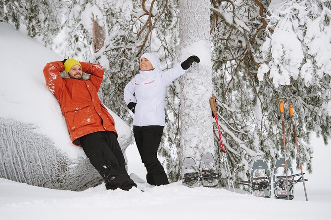 Premium Snowshoeing in Pyhä-Luosto National Park - What to pack so the tour feels great, not miserable