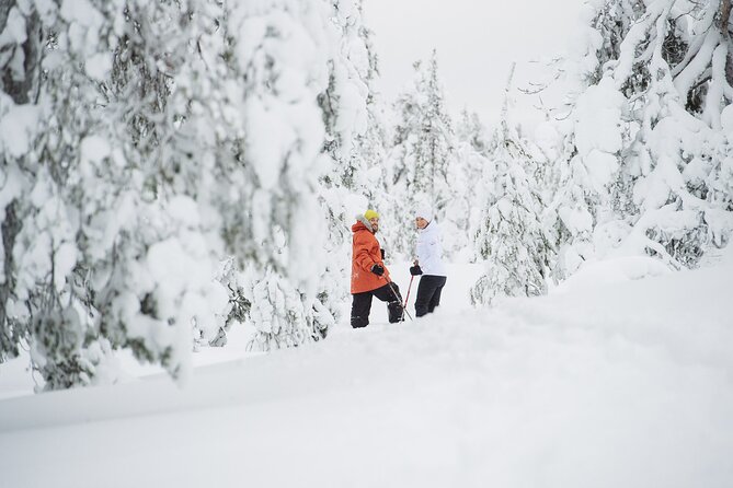 Premium Snowshoeing in Pyhä-Luosto National Park - Meeting at Bliss Adventure and getting geared up fast