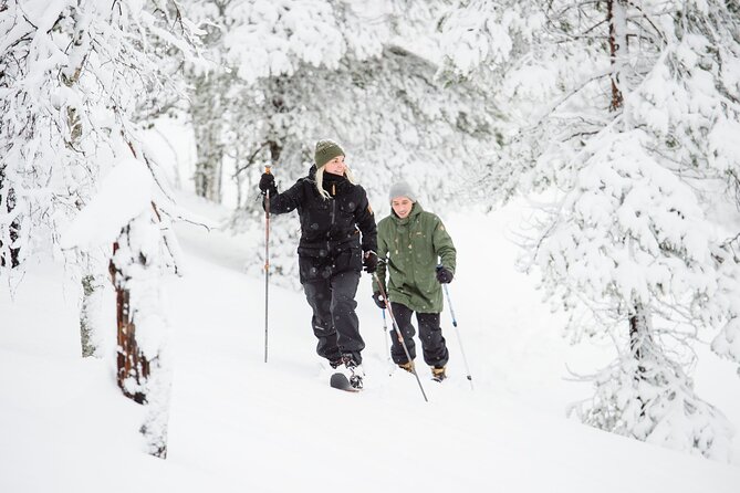 Premium Wilderness Skiing in Pyhä-Luosto National Park - Key Things You’ll Appreciate