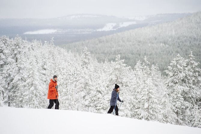 Premium Wilderness Skiing in Pyhä-Luosto National Park - Your 4-Hour Flow: From Meeting Point to Bonfire Warmth