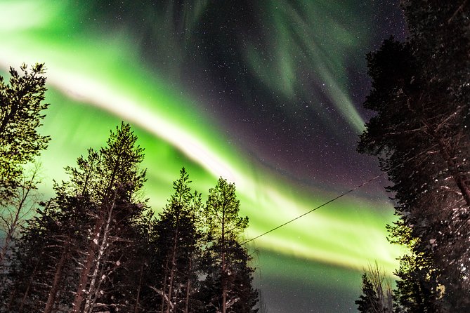 Private Aurora Tour (5 or more) by Aurora Experts - Rovaniemi - The drive out of town and the first look for aurora