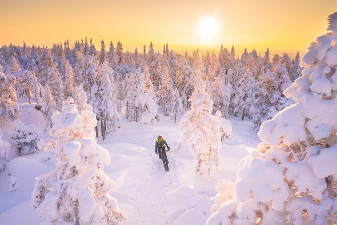 Private Electric Fat Bike Winter Tour in Rovaniemi - Why Rovaniemi e-fat bike riding beats typical winter sightseeing