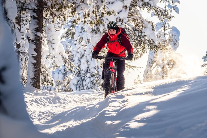 Private Electric Fat Bike Winter Tour in Rovaniemi - Ounasvaara Winter Trail: guide-chosen routes in quiet Arctic forest