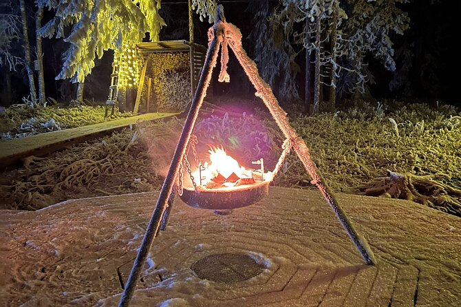 PRIVATE Glass Igloo Dinner Under Northern Lights - Key highlights at a glance