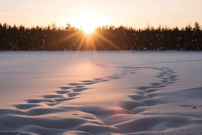 Private Lappish evening in the wilderness with traditional sauna and dinner - How the 4 hours usually unfold