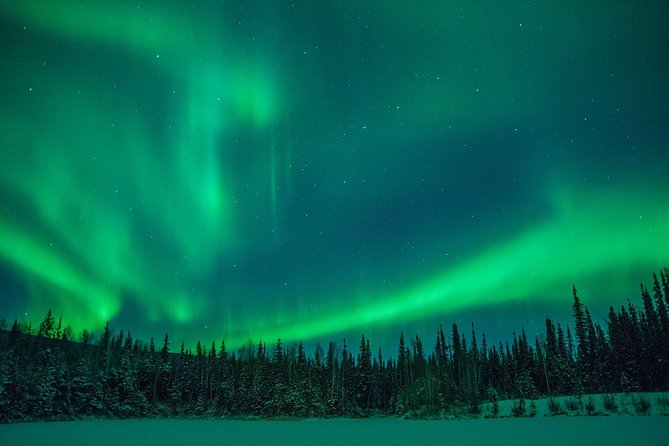Private Northern Lights Hunting Tour Rovaniemi - The Vehicle Experience: Private Group, Wifi, and English