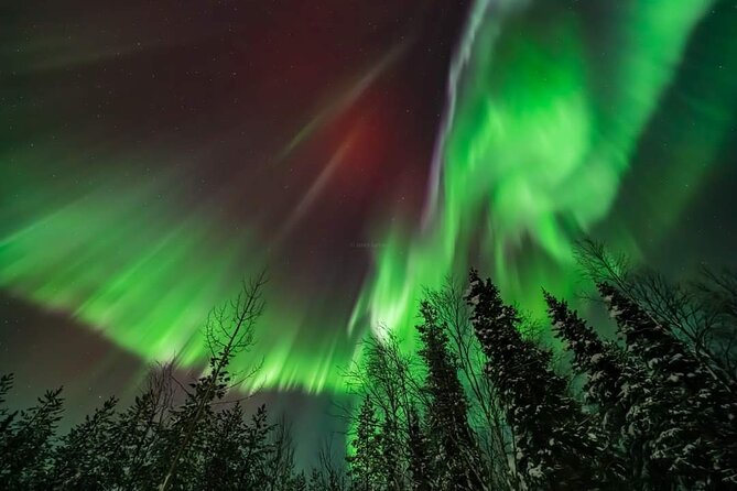 Private Northern Lights Hunting Tour Rovaniemi - The Main Event: Driving Far From Light Pollution