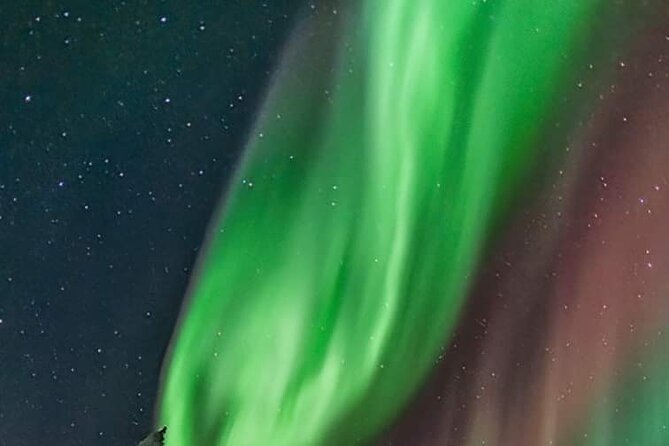 Private Northern Lights Hunting Tour Rovaniemi - Timing, Meeting Point, and How Pickup Really Functions