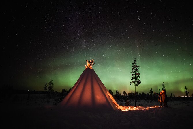 Private Northern Lights photography tour in Rovaniemi - Key Highlights at a Glance