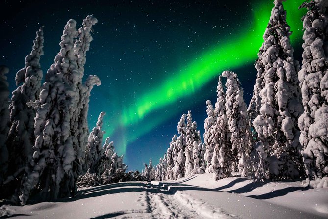 Private Northern Lights photography tour in Rovaniemi - Getting Out of the Car and Into Photo Position