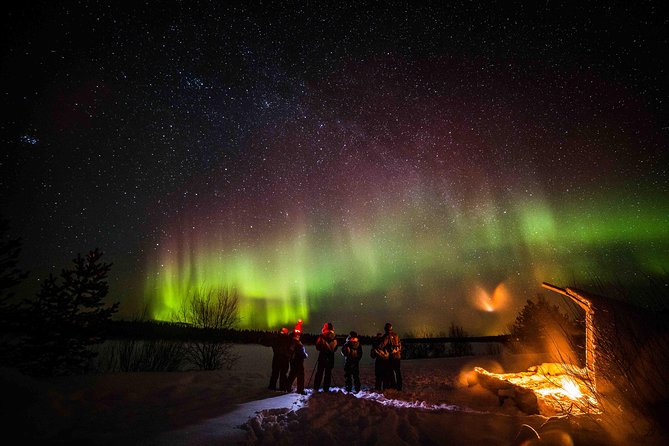 Private Northern Lights photography tour in Rovaniemi - Hot Drinks, Snacks, and the Pace of the Night