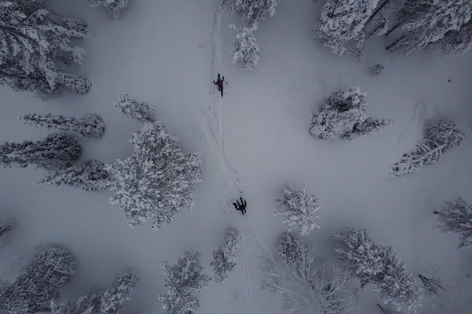 Private Northern Lights Tour With Skis Or Snowshoes in Pyhä - Entering Pyhä’s night wilderness at 8:00 pm