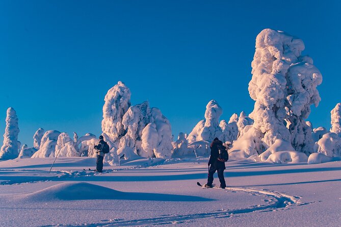Private Snowshoe or Ski Adventure in Lapland from Rovaniemi - Picking the Right Route: 8 to 15 km Near Rovaniemi or 4 to 8 km Deeper Out