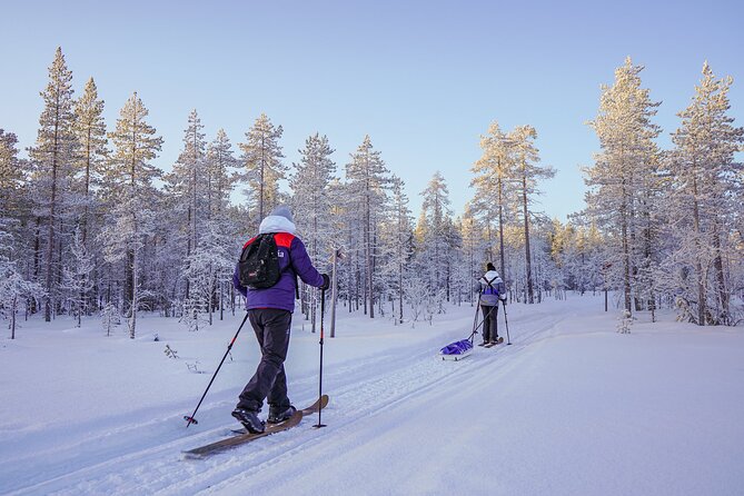 Private Snowshoe or Ski Adventure in Lapland from Rovaniemi - Price and Value: What $1,183.48 Gets You for Up to 7 People