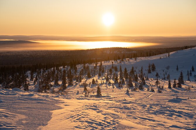 Private Snowshoe or Ski Adventure in Lapland from Rovaniemi - Who Should Book This in Rovaniemi (and Who Might Want to Pass)