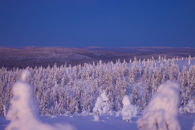 Private Snowshoe or Ski Adventure in Lapland from Rovaniemi - From Jaakonkatu 4-6 to the Winter Trail: How the 7 Hours Usually Unfold