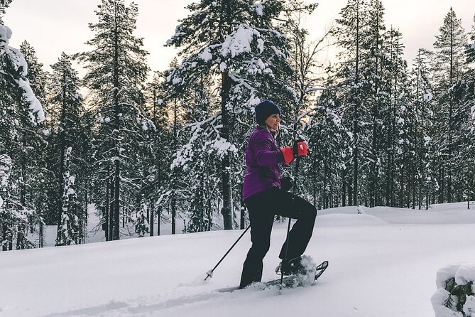 Private Snowshoeing Tour In Pyhätunturi With A Local Guide - The 3 Stops, and What Each One Is For