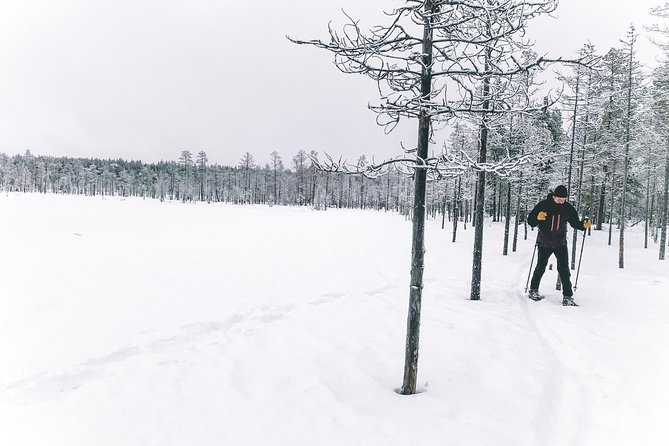 Private Snowshoeing Tour In Pyhätunturi With A Local Guide - Animal Tracks: The “Why Are We Looking Down?” Moment