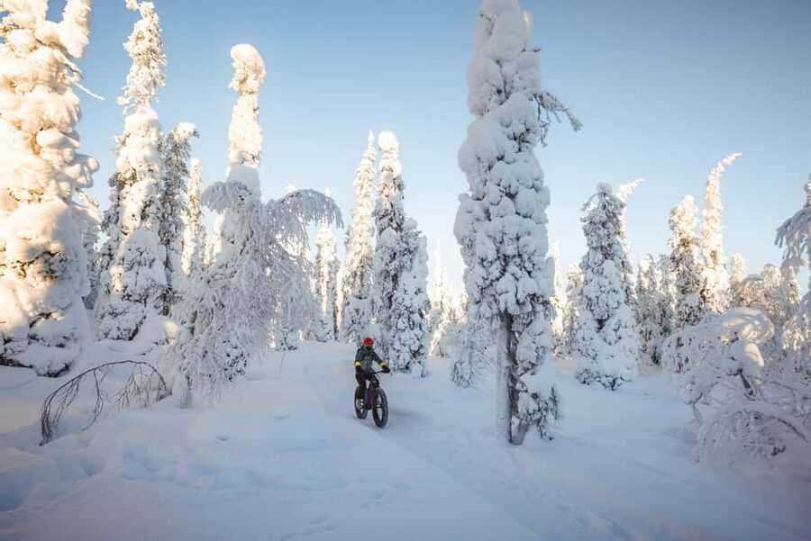 Pyhätunturi: Electric Fatbike Tour in Finnish Lapland - Gear that keeps you comfortable, helmet and gaiters included
