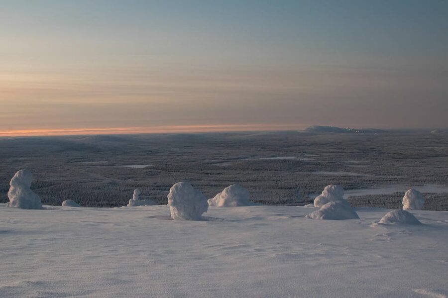 Pyhätunturi: Scenic Snowshoeing Tour in Finnish Lapland - Who This Is Best For, and Who Should Skip It
