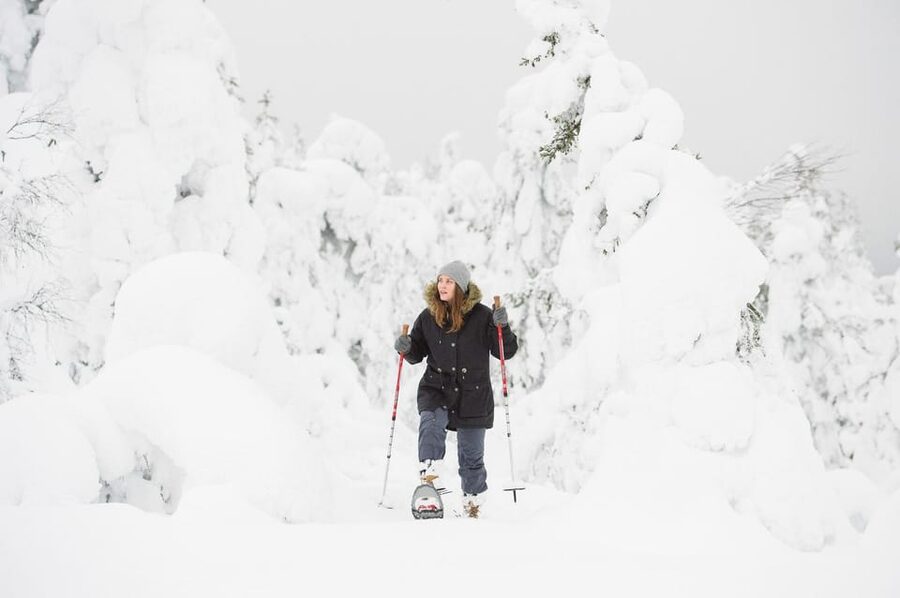 Pyhätunturi: Scenic Snowshoeing Tour in Finnish Lapland - Price and Value for a 2.5-Hour Lapland Winter Experience