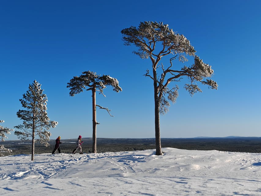 Pyhätunturi: Try Wilderness Skiing in Finnish Lapland - Price, Value, and Why $133 Can Make Sense