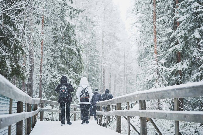 Ranua Wildlife Park Day : Visit the Arctic Animals! - Ranua Zoo in the northern conifer forests: what the setting means