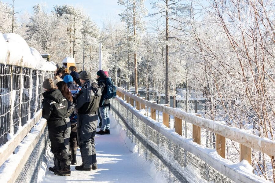 Ranua: Wildlife Park Entrance Ticket - The 3 Kilometer Route Through a Northern Conifer Forest