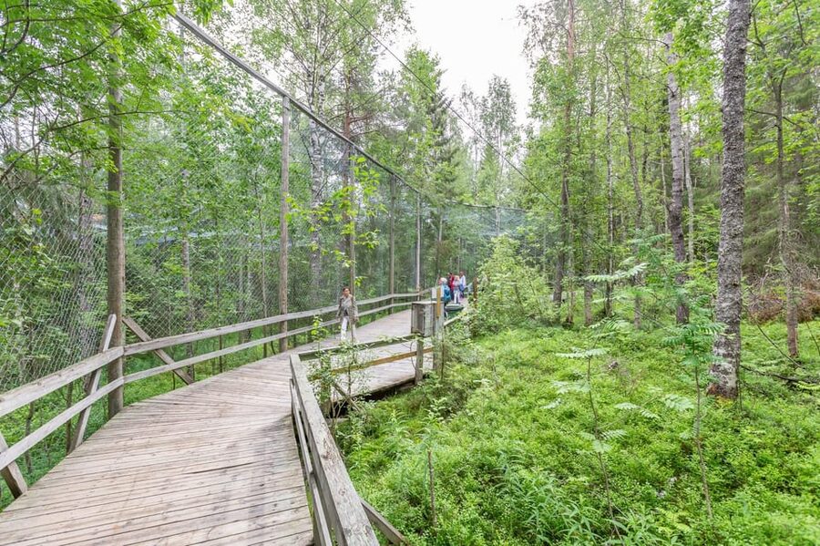 Ranua: Wildlife Park Entrance Ticket - Polar Bear Moment, Finland’s Only One and Why Visibility Varies