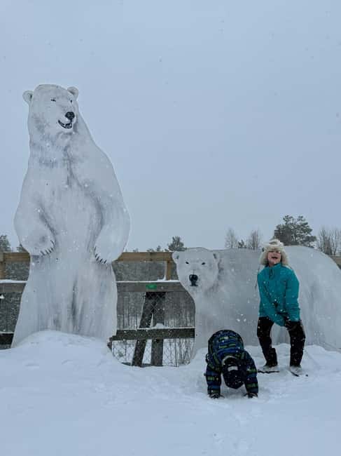 Ranua Wildlife zoo tour with lunch buffet included - More than polar bears, birds and small mammals along the route