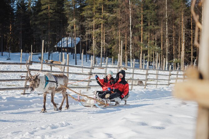 Reindeer Experience with Sledge Ride - Timing, waiting, and group size: manage the cold reality