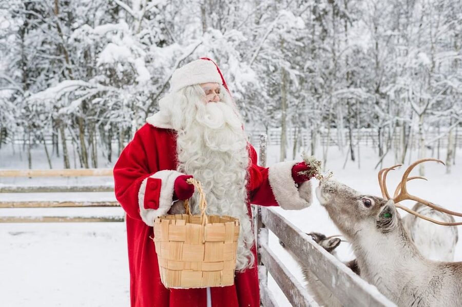 Reindeer Farm Visit with Sleigh Ride - Winter Comfort: Cold Is Part of the Deal, Dress Like It