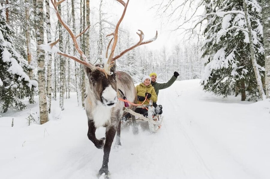Reindeer Farm Visit with Sleigh Ride - Snacks, Hot Drinks, and That Warm Break