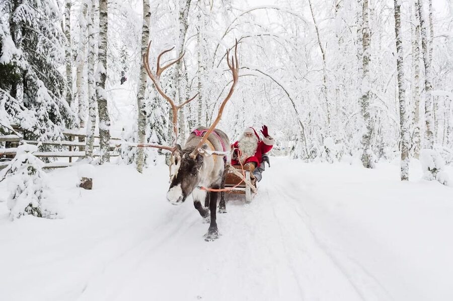 Reindeer Farm Visit with Sleigh Ride - Who This Reindeer Experience Is Best For