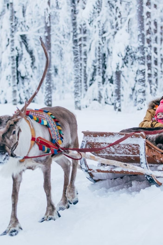 Reindeer Farm Visit with Sleigh Ride - Your Guide and the Stories You Actually Use
