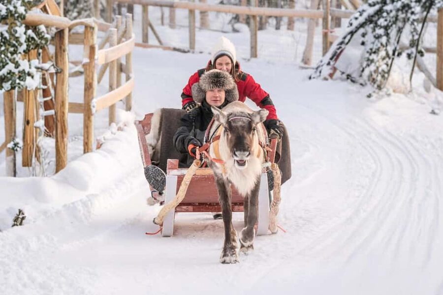 Reindeer Safari at a 200-Year-Old Farm & Long Sled Ride - Key Highlights You Should Actually Care About