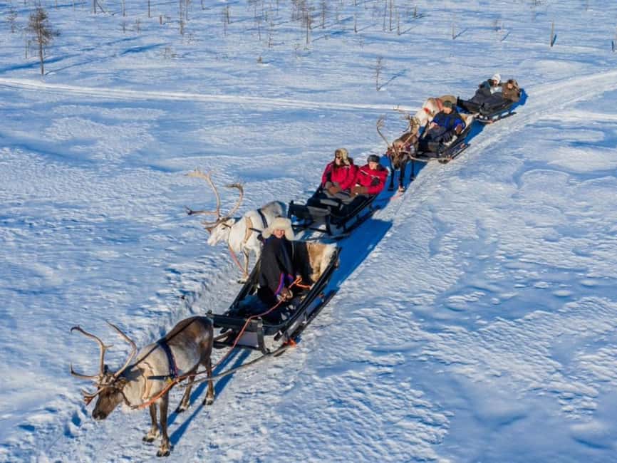 Reindeer Safari at a 200-Year-Old Farm & Long Sled Ride - First Stop: The Farm, the Reindeer, and the Stuff You Can Learn Fast