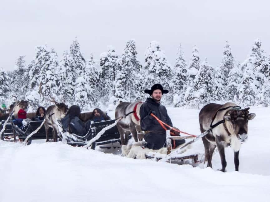 Reindeer Safari at a 200-Year-Old Farm & Long Sled Ride - The 2.5 km Sled Ride: Pace, Wind, and What to Expect