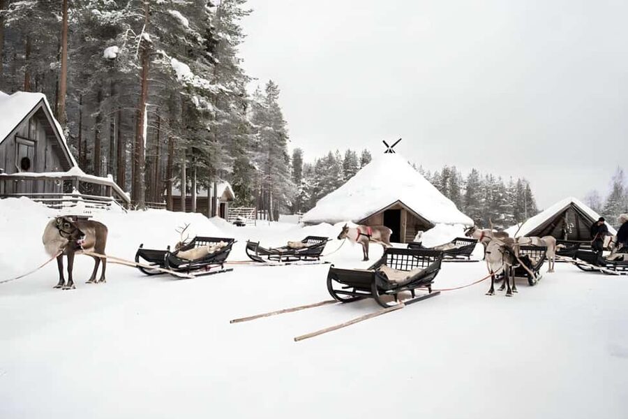 Reindeer Safari at a 200-Year-Old Farm & Long Sled Ride - Your Reindeer Driving License: A Fun Souvenir with Meaning