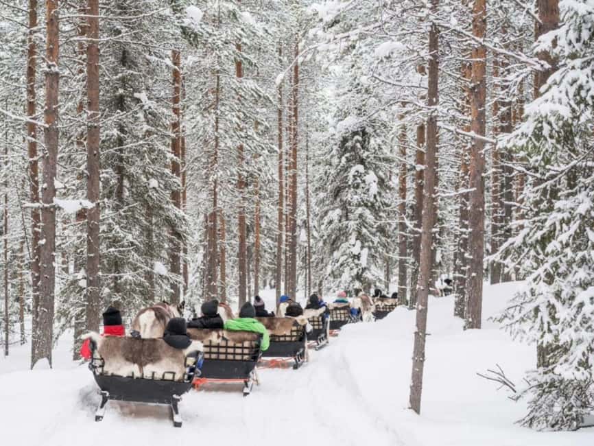 Reindeer Safari at a 200-Year-Old Farm & Long Sled Ride - Price at $260: Is It Good Value for Lapland?