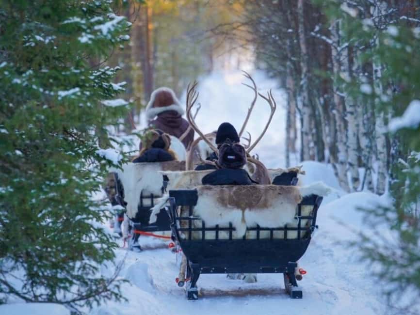 Reindeer Safari at a 200-Year-Old Farm & Long Sled Ride - Who This Tour Fits Best (and Who Might Want Another Plan)