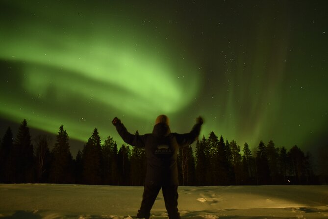 Reindeer Sleigh Ride Across the Night in Apukka Resort Rovaniemi - Where You Start: Apukka Resort Adventures in Rovaniemi