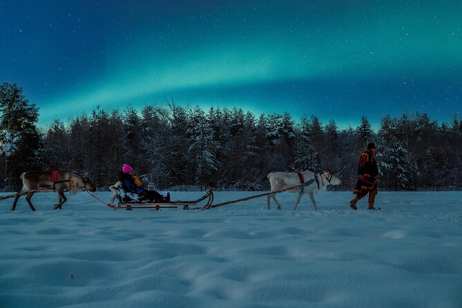Reindeer Sleigh Ride Across the Night in Apukka Resort Rovaniemi - The Mid-Ride Fire-Hut Break: Sausage, Hot Juice, and Reindeer Time