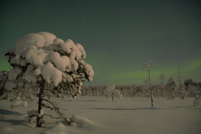 Reindeer Sleigh Ride Across the Night in Apukka Resort Rovaniemi - Northern Lights Chance: How to Think About the Aurora Odds